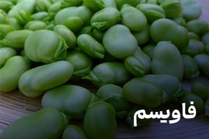 فاویسم 